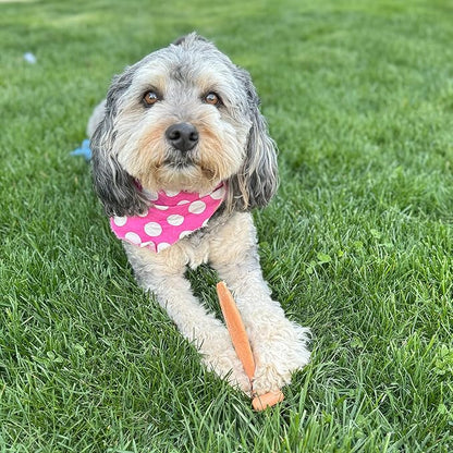 SPOT Bam-Bones Fish - Made with Strong Bamboo Fiber, Durable Long Lasting Dog Bone for Light to Moderate Chewers, Great Chew Toy for Adult Dogs & Teething Puppies Under 30lbs, 5.5in, Salmon Flavor
