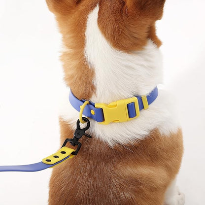 WLK1005C-5SET Luna Medium 8FT Adjustable 6-in-1 Waterproof Hands-Free Leash and Collar with LED Flashlight, Bag Dispenser, and Poop Bag Holder, Curaçao