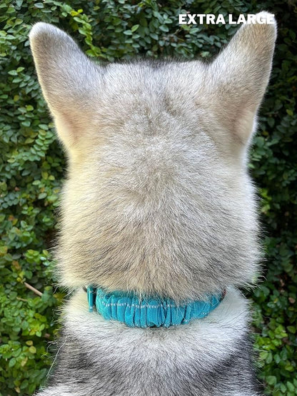 Tuff Pupper Heavy Duty Dog Collar with Handle | Ballistic Nylon Heavy Duty Collar | Padded Reflective Dog Collar with Adjustable Stainless Steel Hardware | Convenient Sizing for All Breeds
