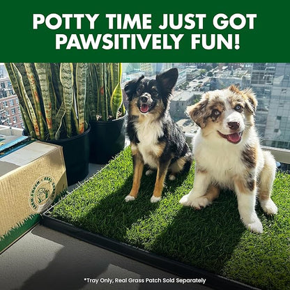 Fresh Patch Plastic Tray for XL Real Grass Pee and Potty Training Pads for Large Dogs and Multi-Dog Households – 4 ft x 2 ft Multi-Purpose and Reusable Crate Tray for Indoor and Outdoor Use