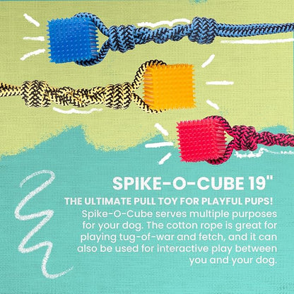Snugarooz Spike-O-Cube Assorted Colors – Dog Toy with Durable Cotton Rope & Spiky TPR Cube - Ideal for Tugging, Chewing, and Fetch - for Larger Breeds