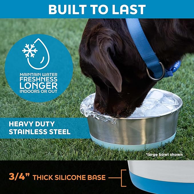 Master Pet Supply Stainless Steel Dog Bowls Set of 2 with Extra Thick Silicone Base - 8 Cup (64 oz) Plum Crazy, Non-Slip, Dishwasher Safe Metal Bowls, Pet Dog Food Bowl for Dogs, Cats, Anti Rust