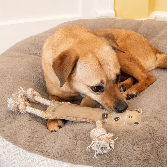 SPOT Dura-Fused Leather Jungle Animals - Dog Toy with Squeakers and Rope Limbs, Real Leather and Jute Chew Toy, Durable No-Stuffing Toy for Light to Moderate Chewers - 14in, Assorted Styles, 1 Piece