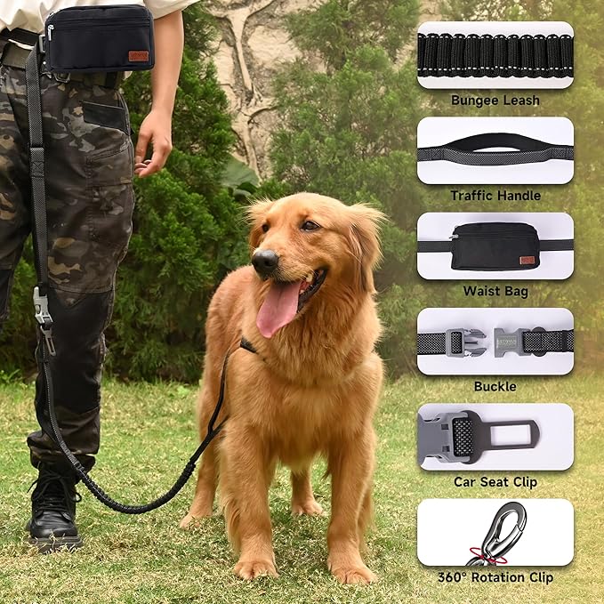 Hands Free Dog Leash with Zipper Pouch, Double Handle Running Reflective Bungee Waist Leash for Dog Walking, Training and Hiking for Small Medium Large Dogs (Black)