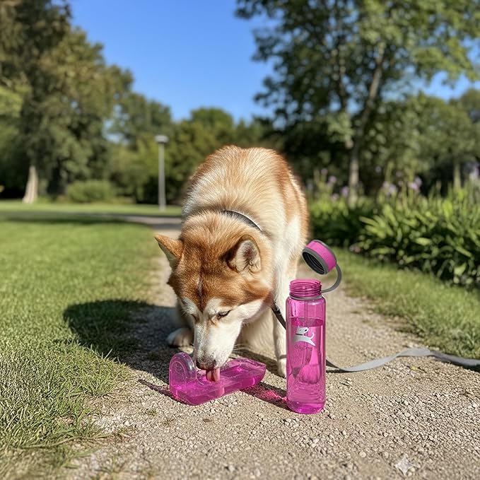 OllyDog OllyBottle, Dog Water Bottle with Detachable Bowl, No Spill Travel Bottle for Dogs, Wide Drinking Cup, BPA-Free Tritan, Easy Clean, Convenient for Walking & Hiking (1L, Hot Pink)
