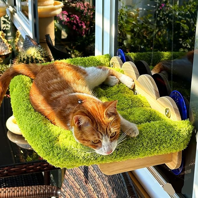 Cat Window Perch, Window cat Bed,Soft Cushion with Five Powerful Suction Cups,Nature Indoor Pet Shelf,Green