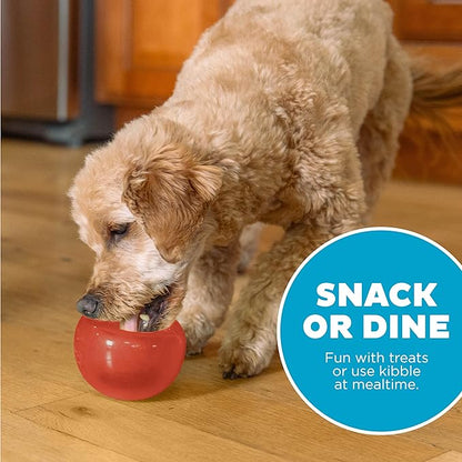 Outward Hound by Planet Dog Lil' Snoop Dog Toy – Treat‑Dispenser Puzzle Ball, Interactive Slow Feeder, Small to Medium Dogs, Bouncy & Mint-Infused, Red, 3.9"