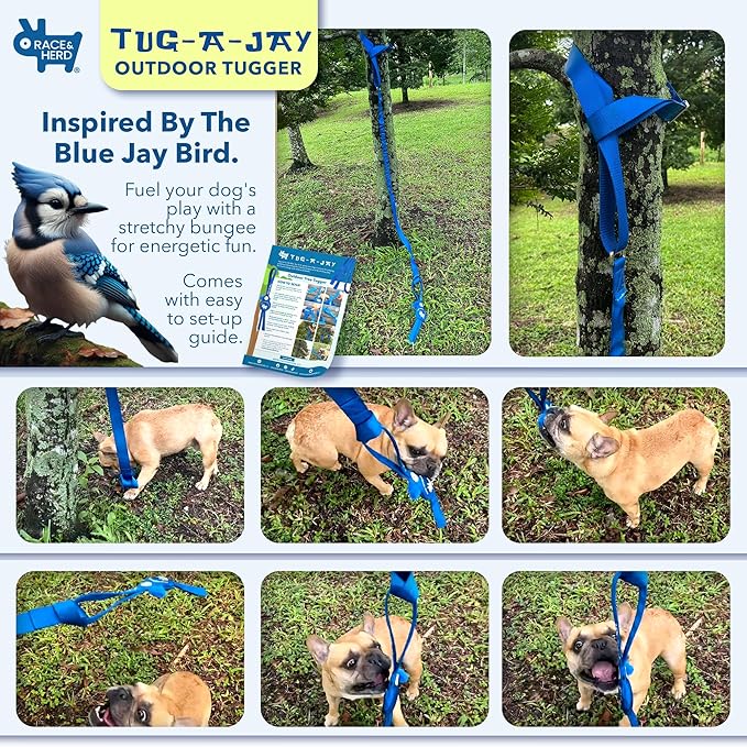 Race&Herd Tug-A-Jay Tree Tugger - Tether Tug Outdoor Dog Toy, Dog Tether Bungee Tug Toy, Tug of War Dog Toys, Dog Backyard Play Equipment Rope, Yard Dogs Playground Equipment, Puppy Outdoor Play