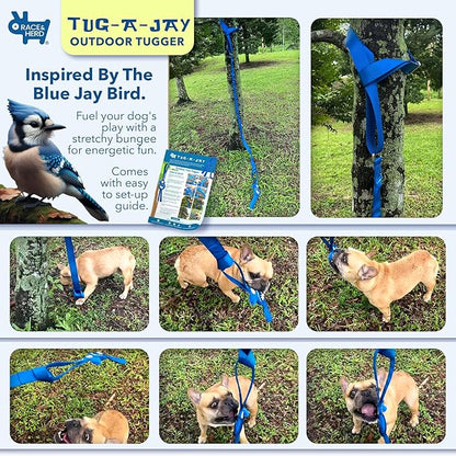 Race&Herd Tug-A-Jay Tree Tugger - Tether Tug Outdoor Dog Toy, Dog Tether Bungee Tug Toy, Tug of War Dog Toys, Dog Backyard Play Equipment Rope, Yard Dogs Playground Equipment, Puppy Outdoor Play