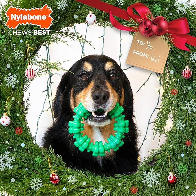 Nylabone Textured Ring Power Chew Toy for Dogs, Dog Chew Bones for Aggressive Chewers, Wintergreen Flavor, X-Large - 50+ lbs, 1 Count