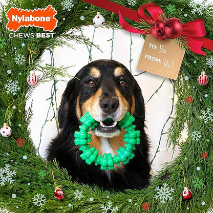 Nylabone Textured Ring Power Chew Toy for Dogs, Dog Chew Bones for Aggressive Chewers, Wintergreen Flavor, X-Large - 50+ lbs, 1 Count