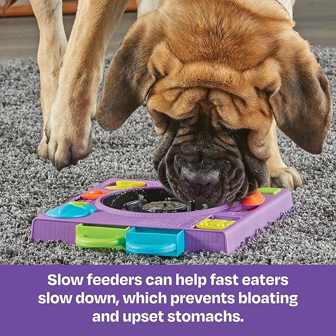 Brightkins DJ Doggo Puzzle Feeder - Enrichment Toys for Dogs Mental Stimulation, Interactive Gift for Puppies