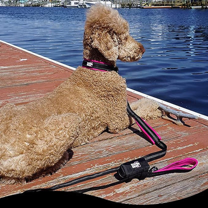 Black Rhino Heavy Duty Dog Leash for Medium and Large Dogs - 6 ft Long Double Handle Leash with Padded Traffic Control Handles and Bag for Comfort - Reflective, Durable, and Weather Resistant (Pink)