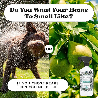 Pet-Pourri Pawsitively Fresh Pet Odor Deodorizer Candle, Burns Up to 45 Hours, Aromatherapy & Air Freshener with Essential Oils, Plant Based Ingredients & Wax, Vet Approved, Jasmine Pear Scent