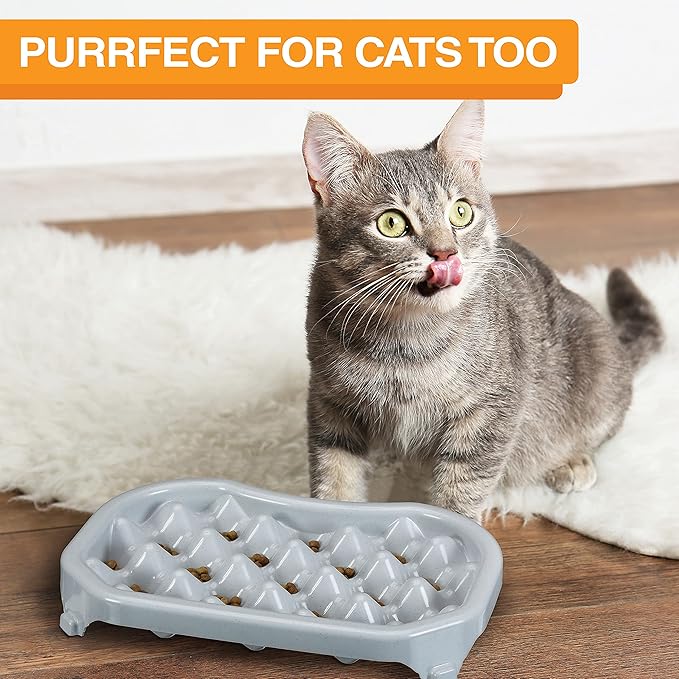 Neater Pet Brands Neater Slow Feeder Dog Bowls, Slows Down Fast Eaters to Help Digestion & Prevent Overeating, Non-Slip Food Bowl, BPA-Free, Holds 2.5 Cup of Food for Small to Medium Breed or Puppy