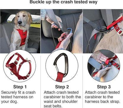 Kurgo Enhanced Strength Tru-Fit Dog Car Harness - Pet Travel Safety Harness - Crash Test Certified Fit - Five Point Adjustment - Secure Buckle - Padded Chest - Charcoal - Medium