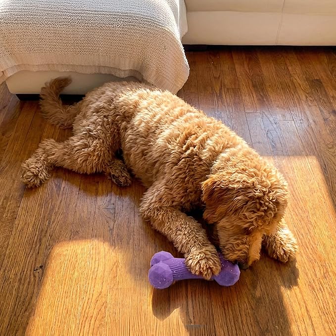 Pupstages Flex-Force Bone Dog Toy - Fetch & Chew, Aggressive Chewers, Multi-Texture with Unpredictable Bounce, Floats in Water, Vanilla-Cappuccino Scent, Medium & Large Breeds, 6.5" x 3.1"