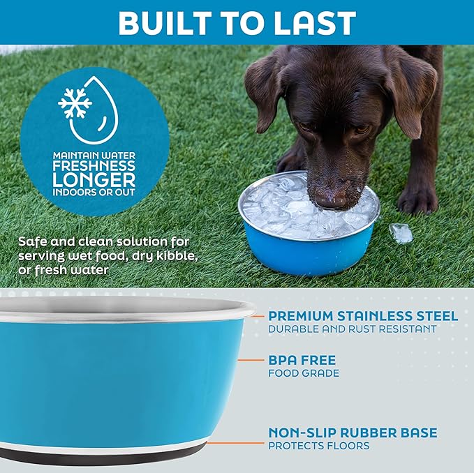Master Pet Supply Stainless Steel Dog Bowls Set of 2 (16 Oz Each) with Non-Slip Rubber Base - Pistachio - Basic Dog Food Bowl Water & Food Bowls for Small Medium Large Dogs & Cats, Metal Dish