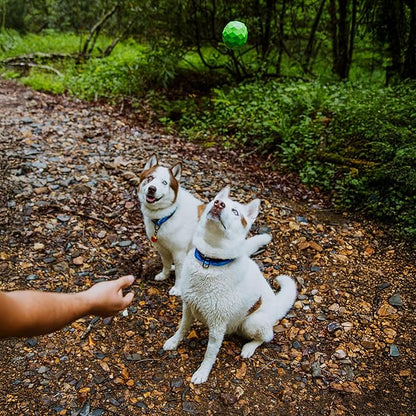Playology Hound2O Dog Toys | Squeaky Fetch Ball for Dogs | Green Floating Outdoor Toy - Easy to Clean and Made from Non Toxic Materials