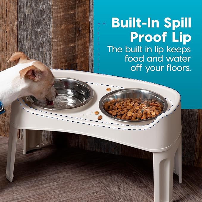 IRIS USA Adjustable Elevated Dog Bowls, Raised Feeder with 2 Stainless Steel 64 oz Bowls, Spill-Guard Rim, 12.25" or 4.63" Heights, Durable Plastic, Made in USA, Almond