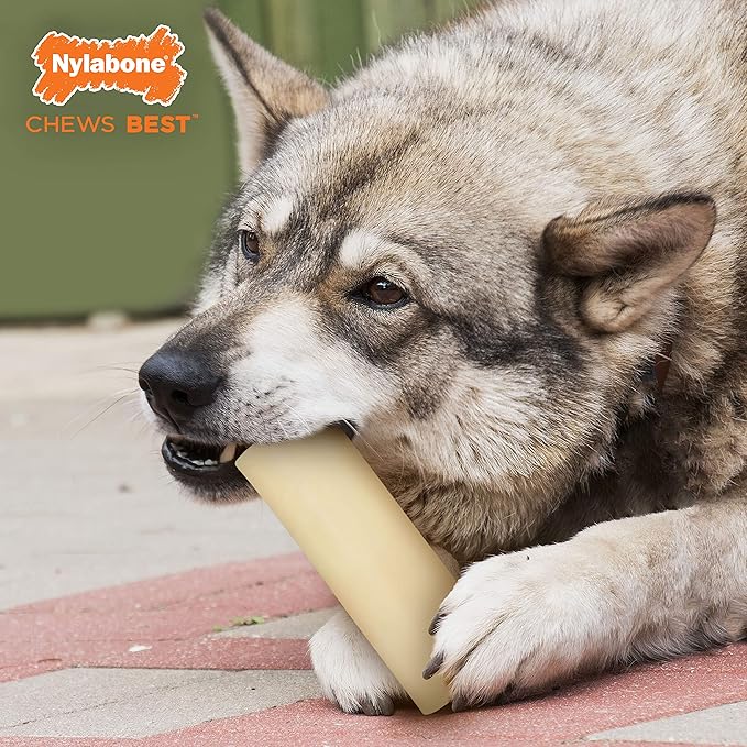 Nylabone Marrow Bone Alternative Power Chew Toy for Dogs, Dog Toys for Aggressive Chewers, Beef Flavor, Large - Up to 50 lbs, 1 Count