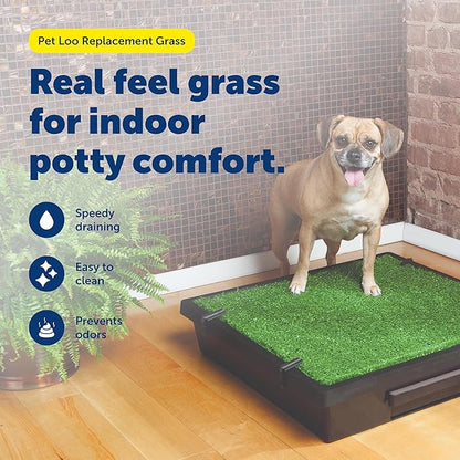 PetSafe Pet Loo Replacement Grass - Feels & Looks Like Real Grass - Drains Urine Quickly - Easy to Clean - Indoor Dog Potty Pad - Medium