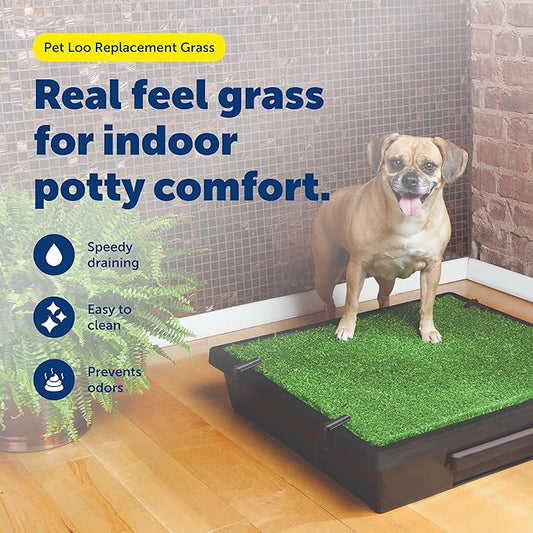 PetSafe Pet Loo Replacement Grass - Feels & Looks Like Real Grass - Drains Urine Quickly - Easy to Clean - Indoor Dog Potty Pad - Medium