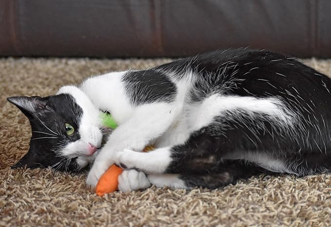 OurPet's 100-Percent North American Catnip Filled Carrot Cat Toy 24 Karat (Pack of 2)