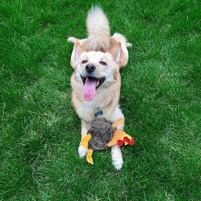 Squeaky Stuffed Dog Toys – Plush Chicken Chew Toy for Small, Medium & Large Dogs, Cute & Funny Interactive Puppy Toy with Crinkle Paper & Double Squeakers