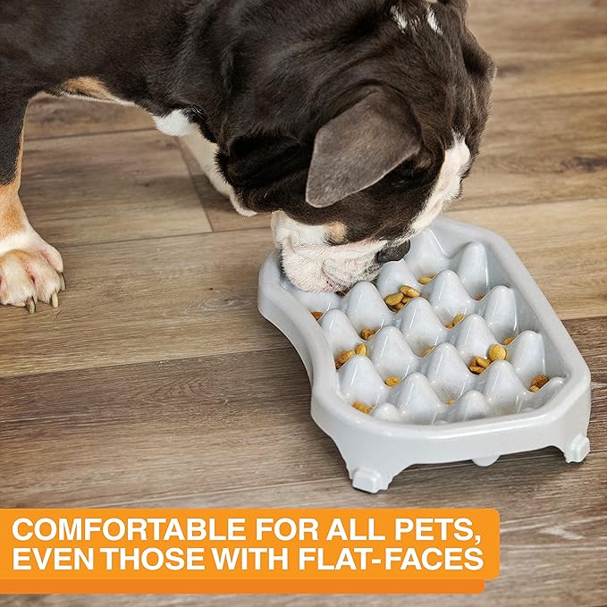 Neater Pet Brands Neater Slow Feeder Dog Bowls, Slows Down Fast Eaters to Help Digestion & Prevent Overeating, Non-Slip Dog Bowl, BPA-Free, Holds 6 Cups of Food for Medium to Large Breed Dogs or Puppy
