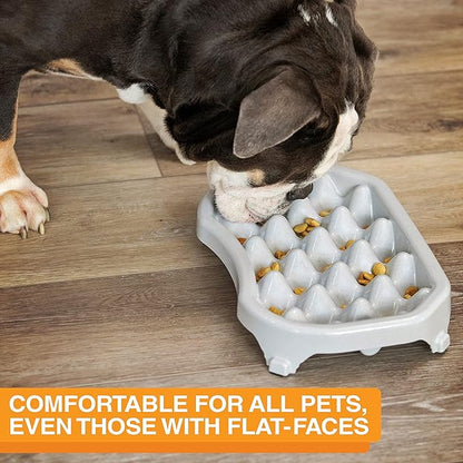 Neater Pet Brands Neater Slow Feeder Dog Bowls, Slows Down Fast Eaters to Help Digestion & Prevent Overeating, Non-Slip Food Bowl, BPA-Free, Holds 2.5 Cup of Food for Small to Medium Breed or Puppy