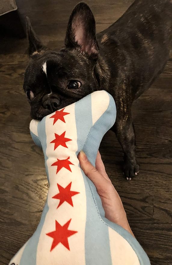 Chicago Flag Bone Dog Toy - Sophisticated Pup