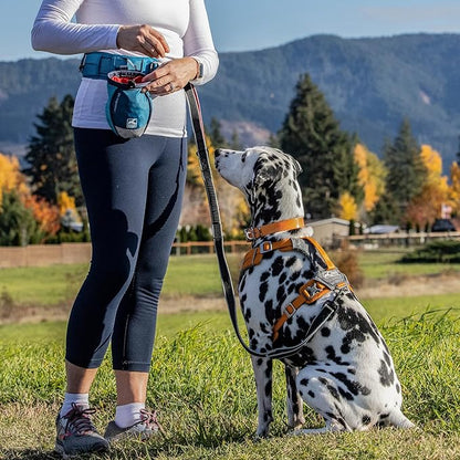 Kurgo Go Stuff It Dog Treat Bag, Training Treat Pouch Bag for Dogs, Treat Pouches for Pets, Hands-Free Pouch Waist, Reflective, Includes Carabiner, MOLLE-Compatible (Navy Blue)