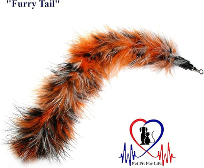 Pet Fit For Life 3 Piece Dual Rod Feather Teaser and Exerciser with a Slithering Snake for Kitten and Cats - Cat Toy Interactive Cat Wand