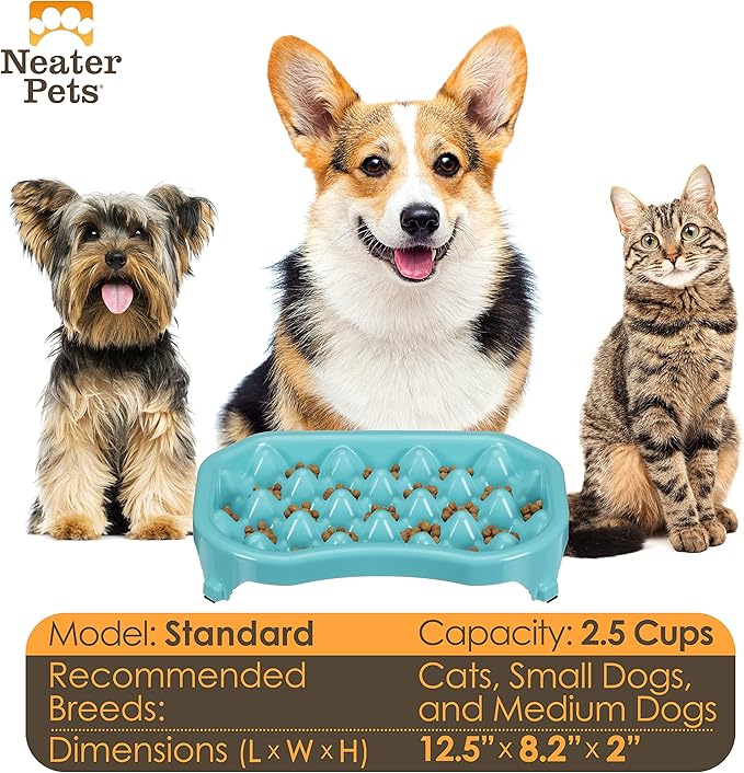 Neater Pet Brands Neater Slow Feeder Dog Bowls, Slows Down Fast Eaters to Help Digestion & Prevent Overeating, Non-Slip Food Bowl, BPA-Free, Holds 2.5 Cup of Food for Small to Medium Breed or Puppy