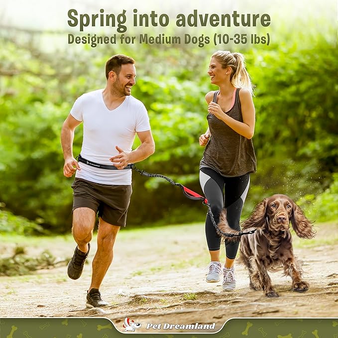 Exquisite Hands-Free Leash for Medium Dogs: Perfect for Active Pet Owners Comfortable, Durable & Ideal for Running, Walking, Hiking. Premium Dog Waist Leash with Bungee. Must-Have Dog Gear