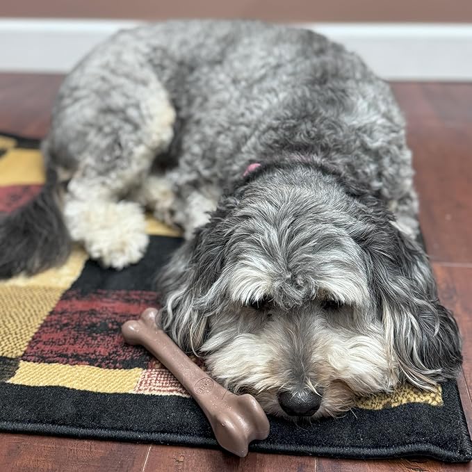 SPOT Bam-Bones Bone - Made with Strong Bamboo Fiber, Durable Long Lasting Dog Chew for Light to Moderate Chewers, Great Toy for Adult Dogs & Teething Puppies under 40lbs, 7.25in, Bacon Flavor