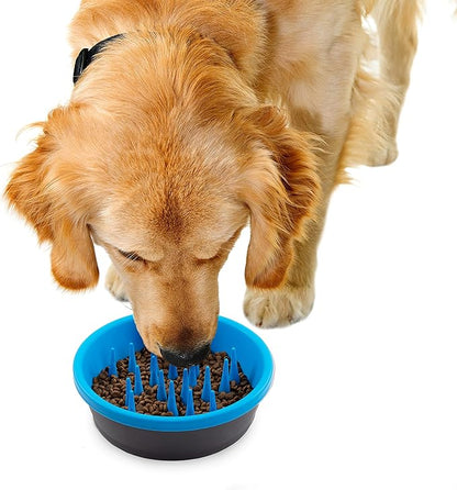 Dexas Slow Feeder Dog Bowl for Healthier Digestion, Teeth and Gums, 6 Cup Capacity, Gray and Blue