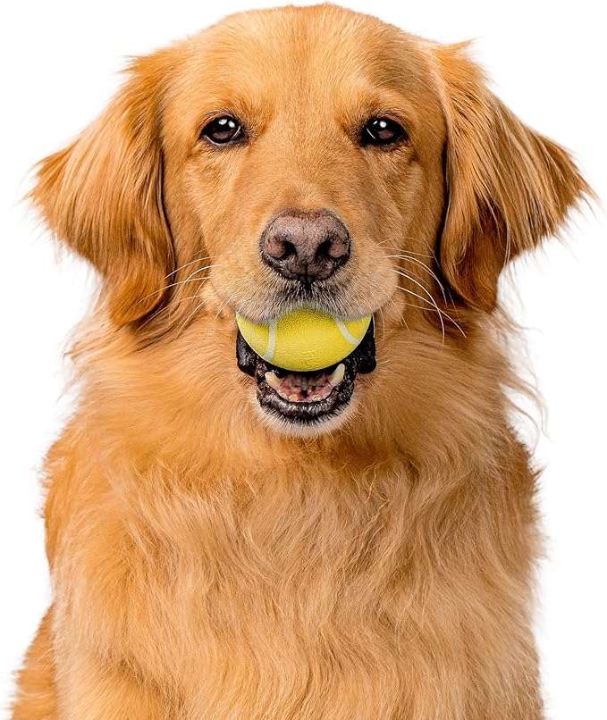 Playology Dog Toys | Rainbow of Scent Chew Toy Gift Box - Medium Squeaky Chew Balls for Dogs | Peanut Butter, Chicken, & Beef Scented Toys - Easy to Clean and Made from Non Toxic Materials