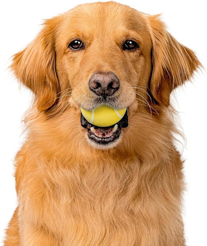 Playology Dog Toys | Rainbow of Scent Chew Toy Gift Box - Medium Squeaky Chew Balls for Dogs | Peanut Butter, Chicken, & Beef Scented Toys - Easy to Clean and Made from Non Toxic Materials