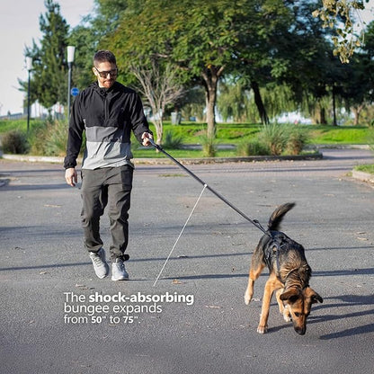 Waist Leash for Dog Walking, Waist Dog Leash for Running, Hands Free with Metal Quick-Release Buckle, Rope Bungee, Neoprene Lumbar Support