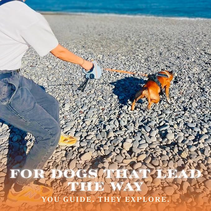 Snuggle Paws Retractable Dog Leash 16ft Heavy-Duty – All-in-One Leash with LED Flashlight, Poop Bag Holder & Chew-Proof Steel Cable Extension – Tangle-Free Design for Small to Large Dogs up to 66 lbs