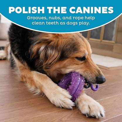 Outward Hound 2-in-1 Dental Dog Chew Wheel Ring & Rope Tug Toy for Teething Puppies & Dogs, Mint-Scented & Teeth-Cleaning, 9-Inch, Purple