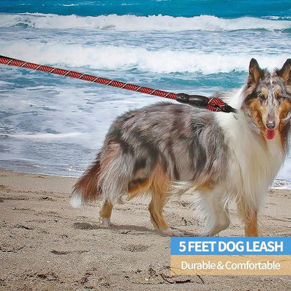 BAAPET 2/4/5/6 FT Dog Leash with Comfortable Padded Handle and Highly Reflective Threads for Small Medium and Large Dogs (5FT-1/2'', Black Red)
