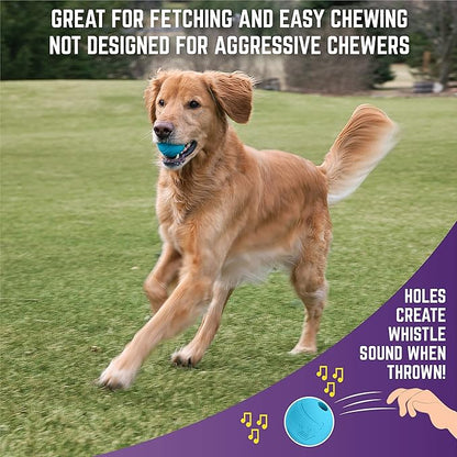 Chew King by Mammoth Dog Box Large- Durable Fetch Balls, Treater and Chewing Toy Collection, Teal (CM-10100-CS01)
