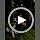 ShawnCo Dream Walk Dog Leash (Stars and Stripes,M/L 6FT w/ 2 Handles) - Image 6
