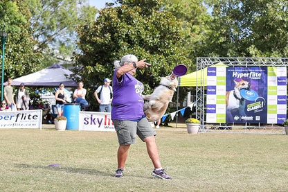 Hyperflite Pup Hyperflex Dog Flying Disc – for Dogs Under 16" – Ultra Flexible – Puncture Resistant – Competition Approved – 7" / 90g – Purple