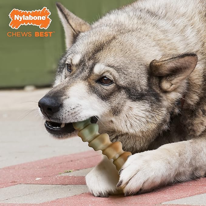 Nylabone Gator Tail Alternative Power Chew Toy for Dogs, Dog Toys for Aggressive Chewers, Chicken Flavor, Large - Up to 50 lbs, 1 Count