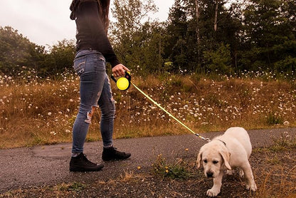 Wigzi Reflective Gel Retractable Leash, Yellow, Large