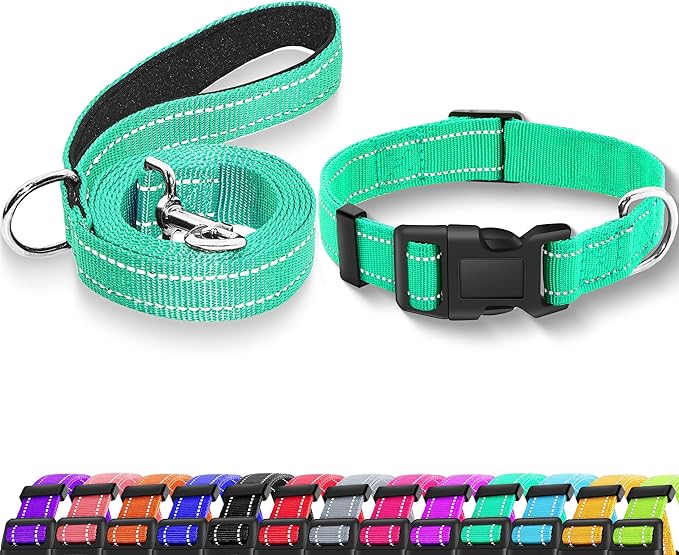 Reflective Dog Collar with Safety Locking Buckle, Adjustable Soft Breathable Nylon Collars for Small, Medium and Large Dogs(Collar+Leash XS Width 5/8" Turquoise)